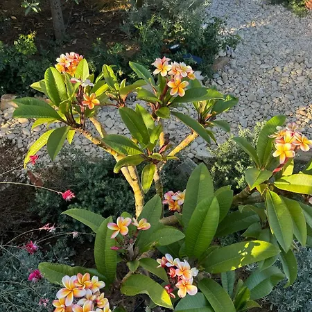 Plaka House Naxos Сasa de vacaciones