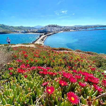 Сasa de vacaciones Plaka House Naxos Maragkas
