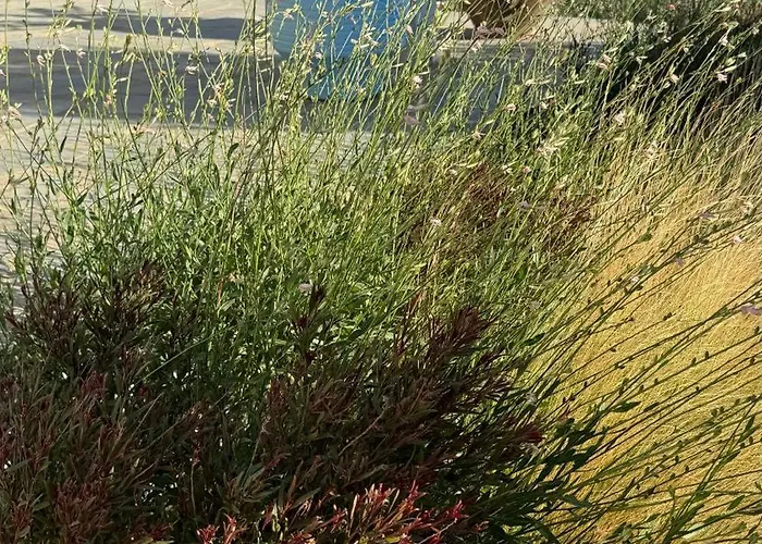 別荘 Plaka House Naxos