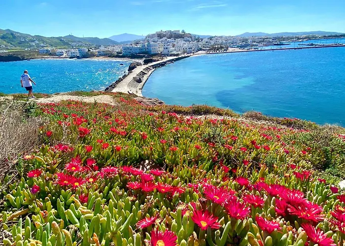 Tatil Evi Plaka House Naxos Maragkas