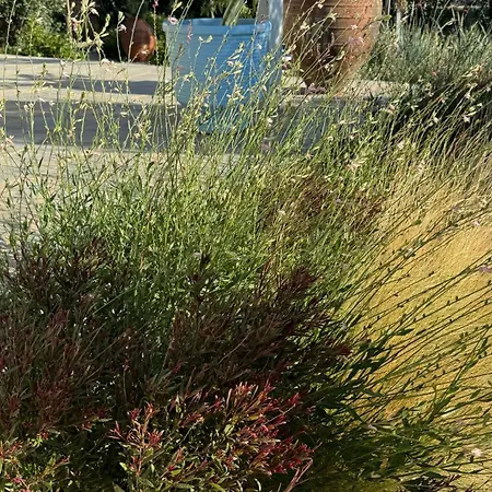 Holiday home Plaka House Naxos