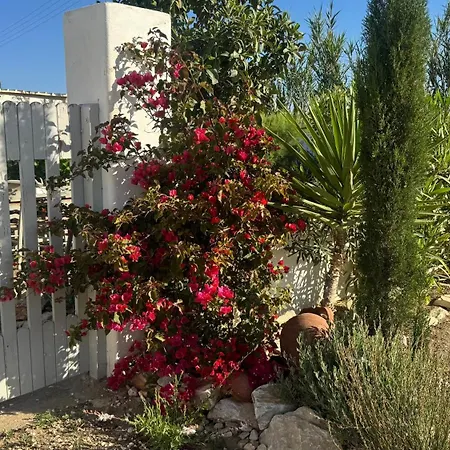 Plaka House Naxos Maragkas