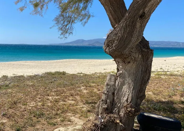 Tatil Evi Plaka House Naxos *